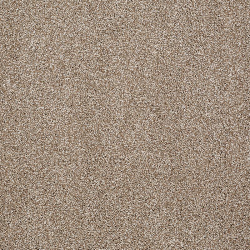 Shaw Floors SFA Awesome 7 (t) Mole Hill