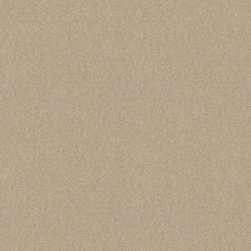 Shaw Floors Value Collections Dashing II 12 Net Ivory Tint