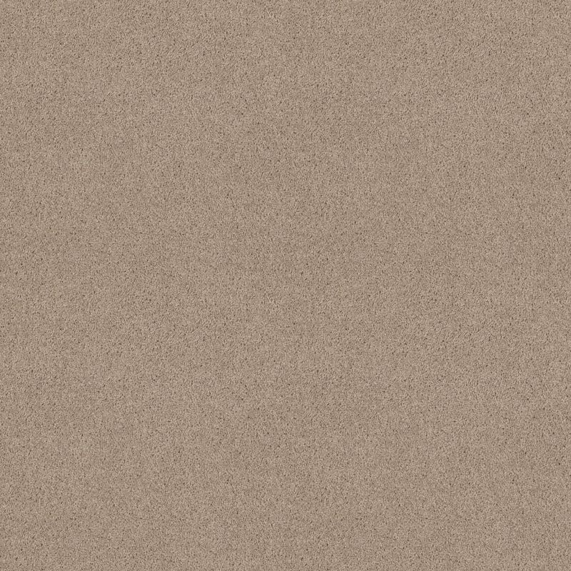 Shaw Floors Value Collections Dashing II 12 Net Dove