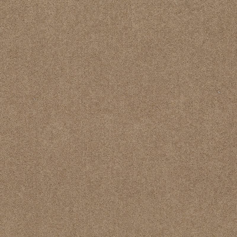 Shaw Floors Value Collections Dashing II 12 Net Dusty Trail
