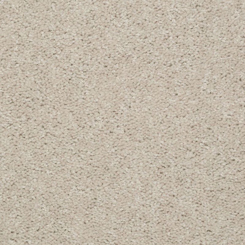Shaw Floors Value Collections Dashing II 15 Net Marble