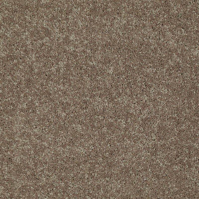 Shaw Floors Value Collections Dashing II 15 Net Driftwood