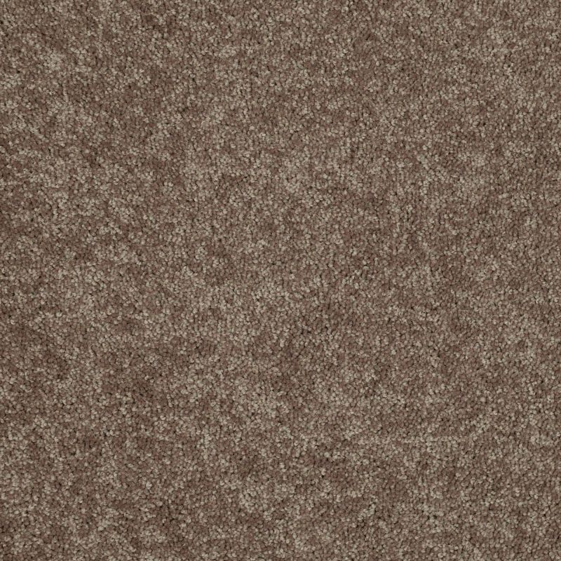 Shaw Floors Value Collections Dashing II 15 Net Winter Wheat