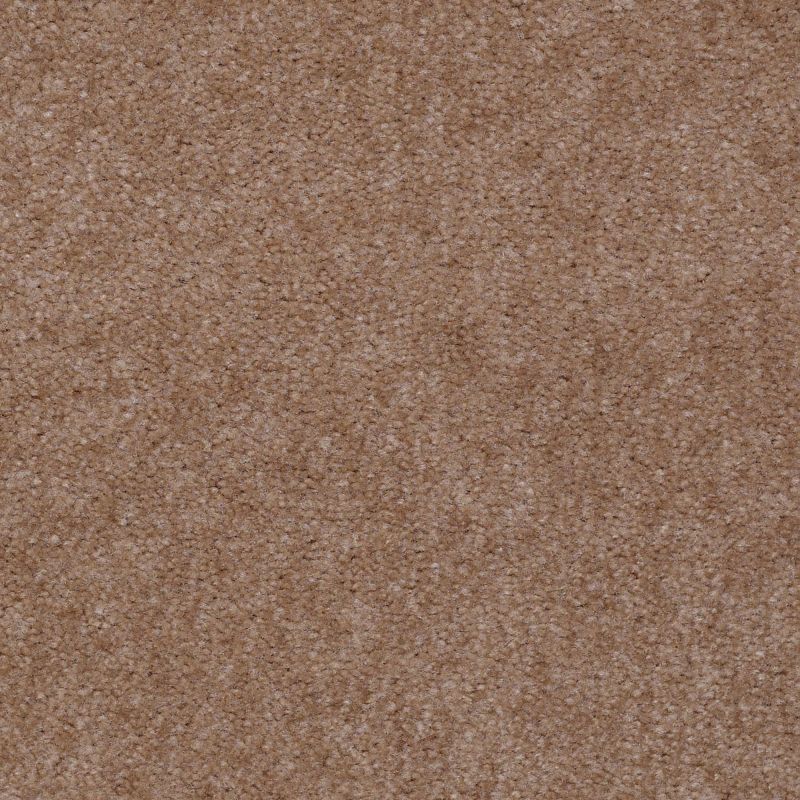 Shaw Floors Value Collections Hawkeye Net Doeskin