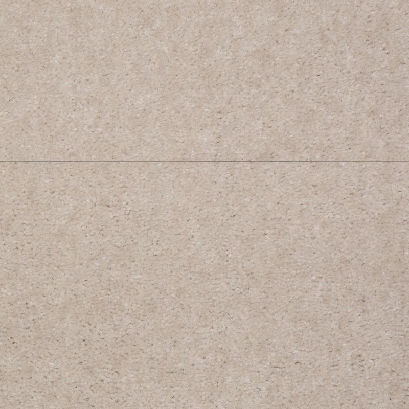 Shaw Floors Value Collections Blazer II Net Fossil