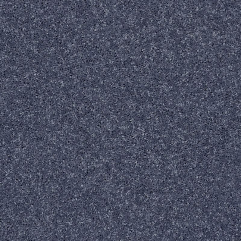 Shaw Floors Value Collections All Star Weekend I 12 Net Charcoal