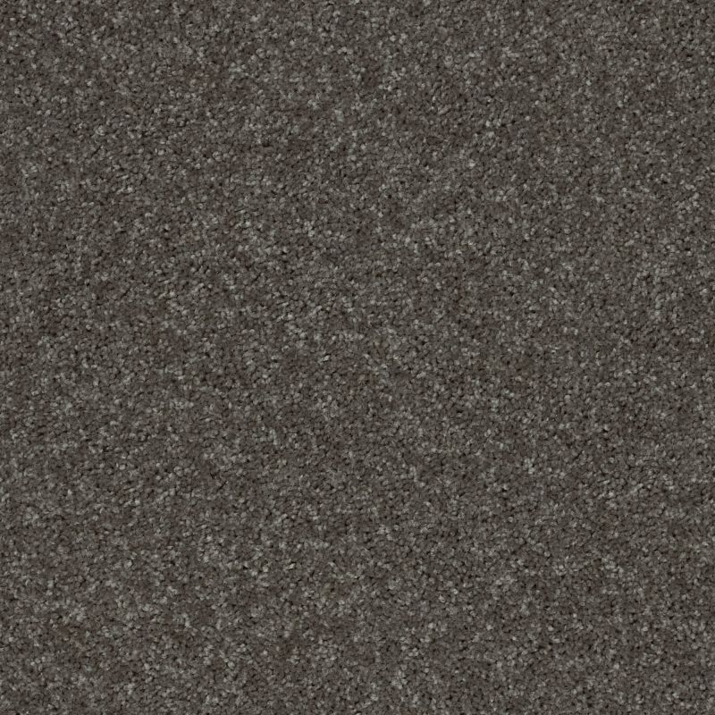Shaw Floors Value Collections All Star Weekend I 12 Net Barn Beam