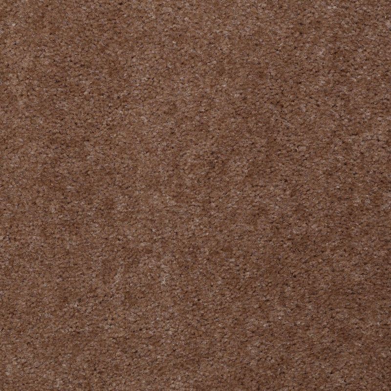 Shaw Floors Value Collections Footwork Net Tudor Brown