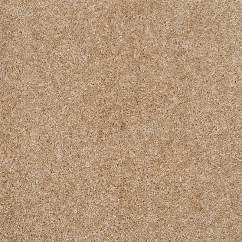 Shaw Floors Value Collections Max Appeal Net Thornwood