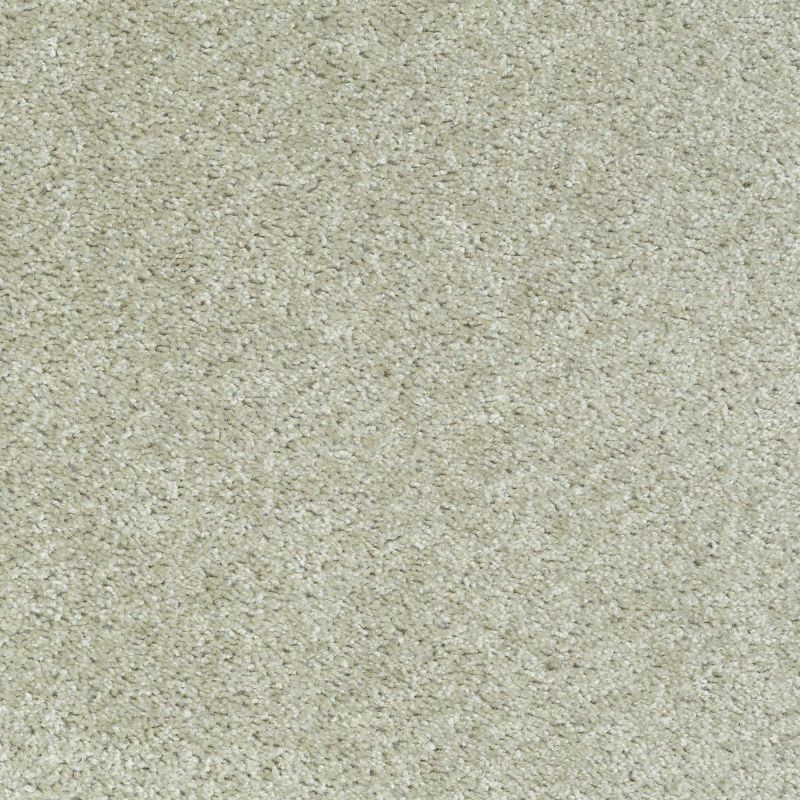 Shaw Floors Value Collections Play Hard Net Bliss