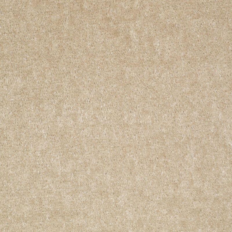 Shaw Floors Value Collections Sprinter Net Practical Beige
