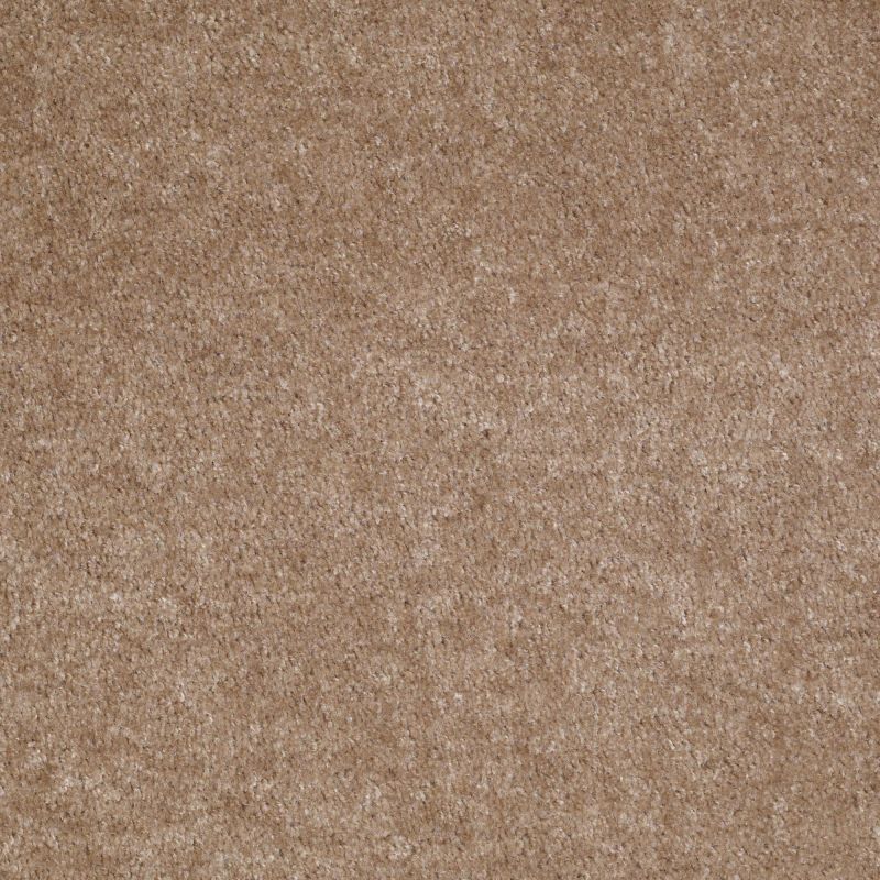 Shaw Floors Value Collections Sprinter Net Willow