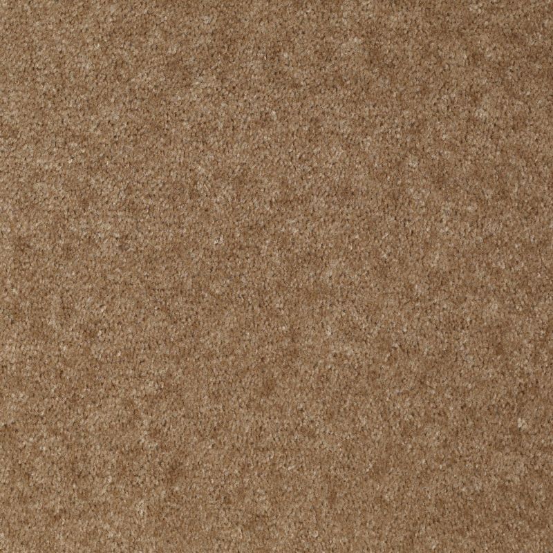 Shaw Floors Value Collections Sprinter Net Down Home