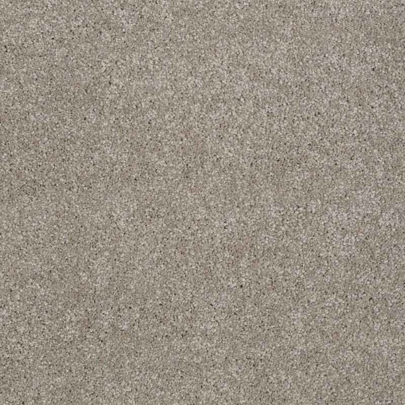 Shaw Floors You Know It Mocha Cream