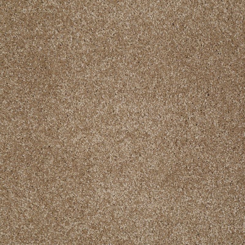 Shaw Floors You Know It Bridgewater Tan