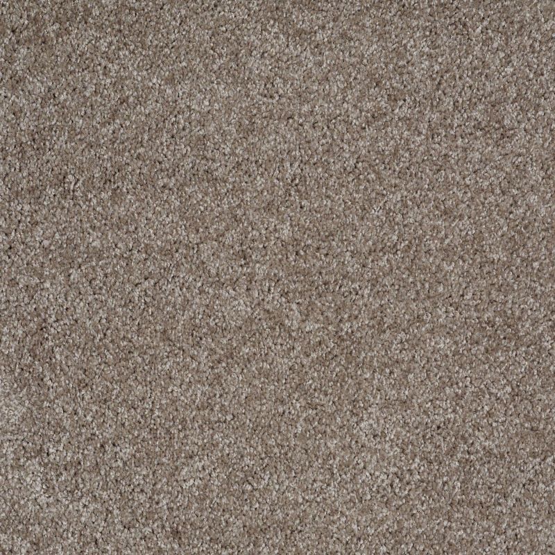 Shaw Floors Parlay Driftwood