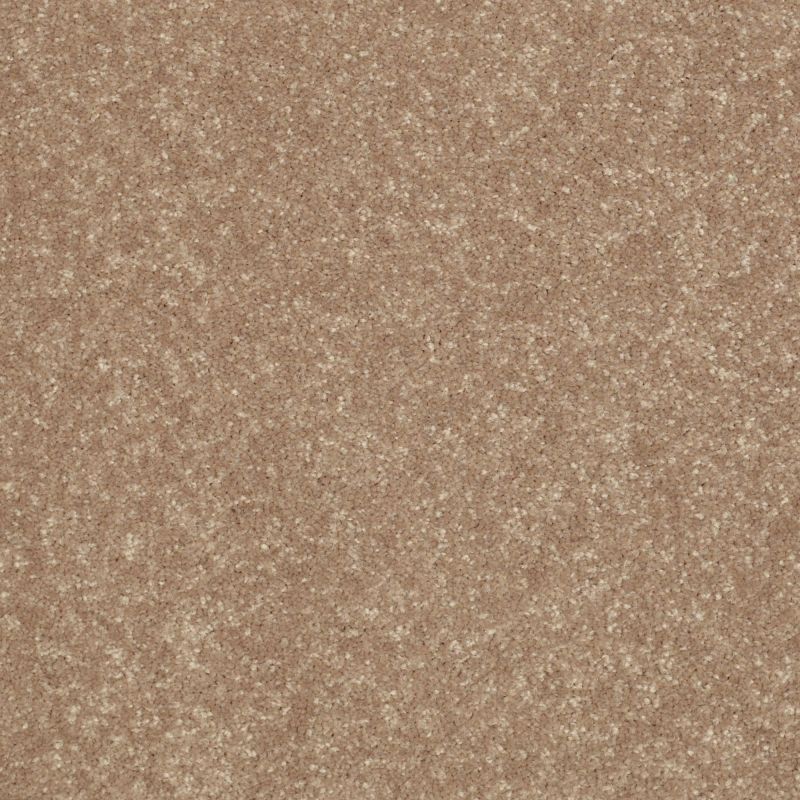 Shaw Floors Value Collections All Star Weekend II 15' Net Tassel