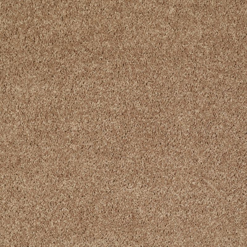 Shaw Floors Value Collections All Star Weekend II 15' Net Golden Echoes