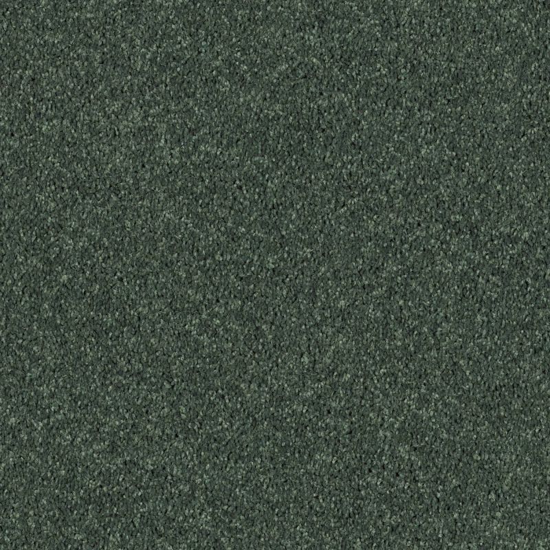 Shaw Floors Value Collections All Star Weekend II 15' Net Going Green