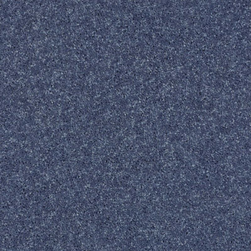 Shaw Floors Value Collections All Star Weekend II 15' Net Steel