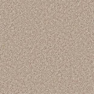 Shaw Floors Value Collections All Star Weekend II 15' Net Barn Beam