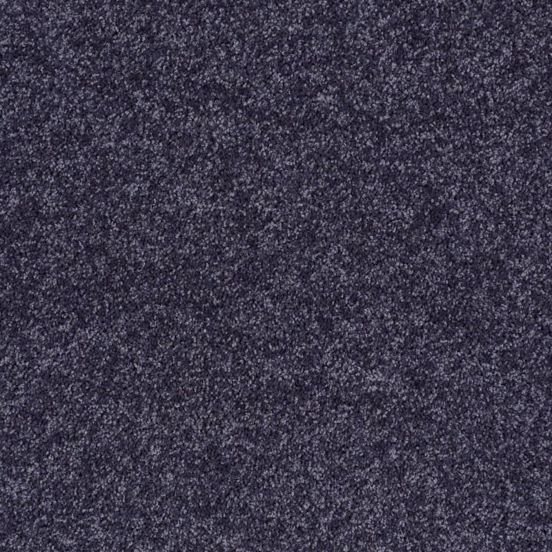 Shaw Floors Value Collections All Star Weekend III 15' Net Denim