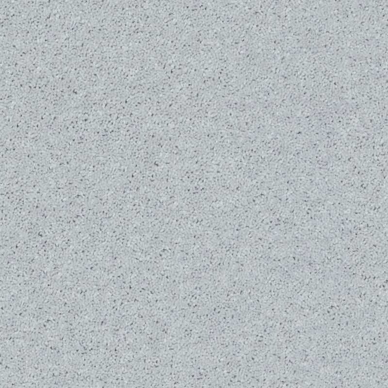 Shaw Floors Value Collections All Star Weekend III 15' Net Dove