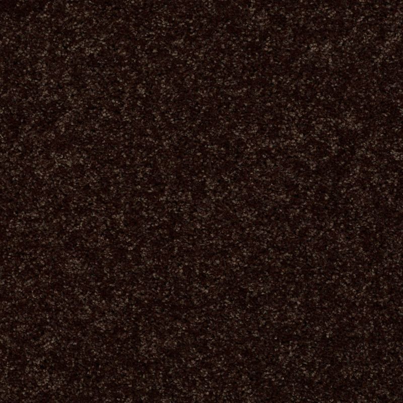 Shaw Floors Value Collections All Star Weekend III 15' Net Coffee Bean