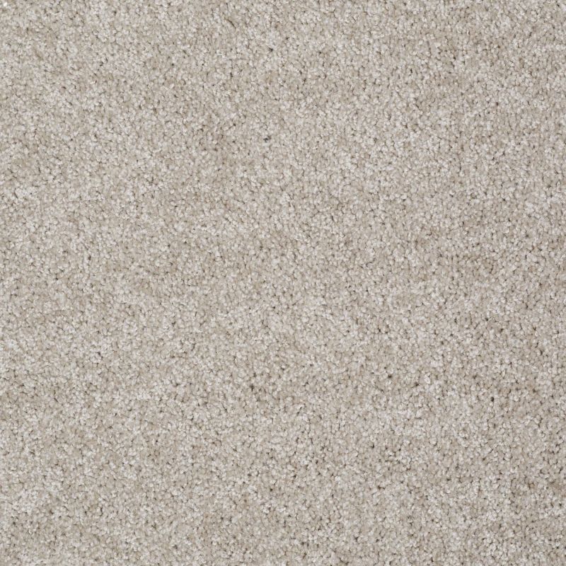 Shaw Floors Make It Yours (s) Abalone