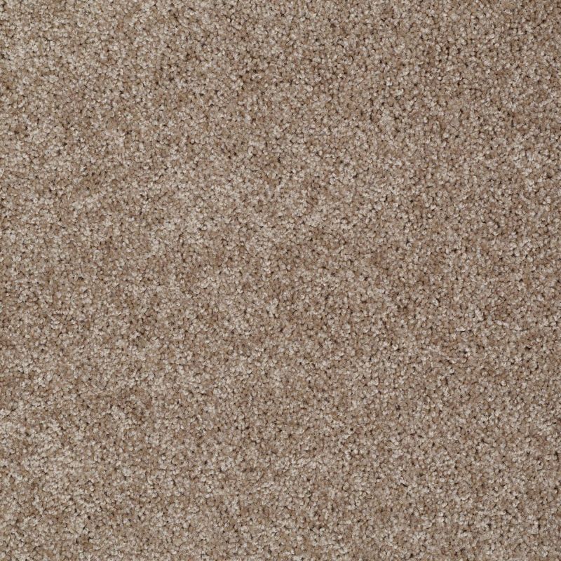 Shaw Floors Value Collections Make It Yours (s) Net Fawns Leap
