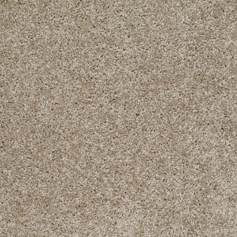 Shaw Floors Value Collections Make It Yours (s) Net Northern Cliffs