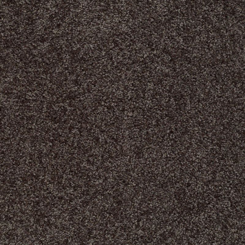 Shaw Floors Value Collections Make It Yours (s) Net Gauntlet