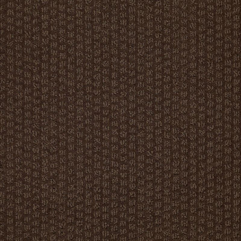 Shaw Floors Simply The Best Pacific Trails Mocha Chip