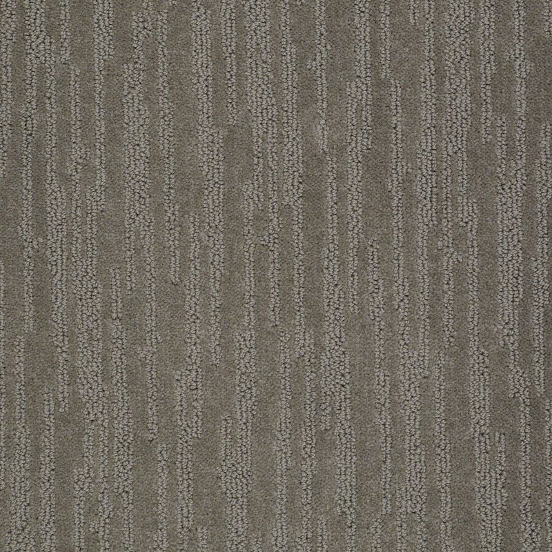 Shaw Floors Value Collections Bandon Dunes Net Charcoal