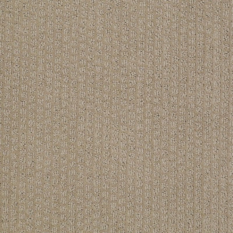 Shaw Floors Value Collections Pacific Trails Net Hiking Trail