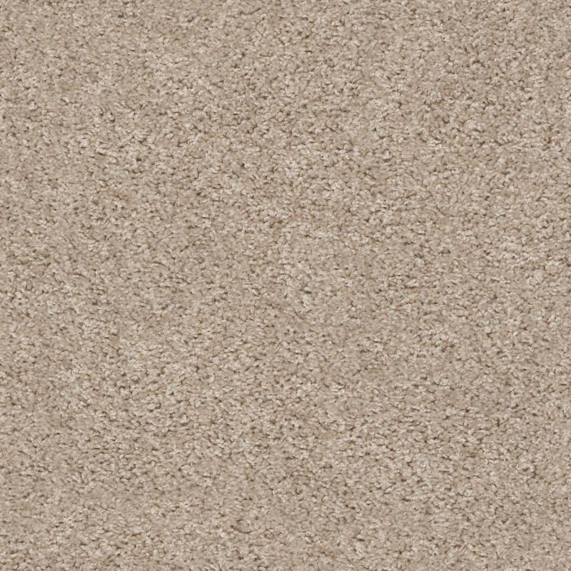 Shaw Floors Value Collections One Over All Net Stratosphere