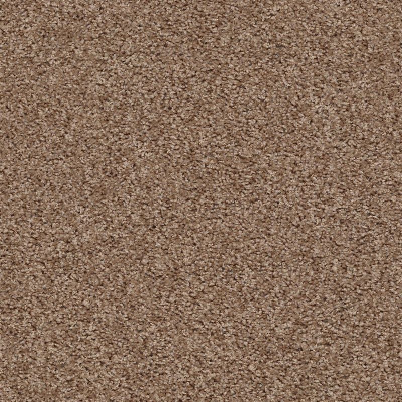 Shaw Floors Value Collections One Over All Net Sierra Hills