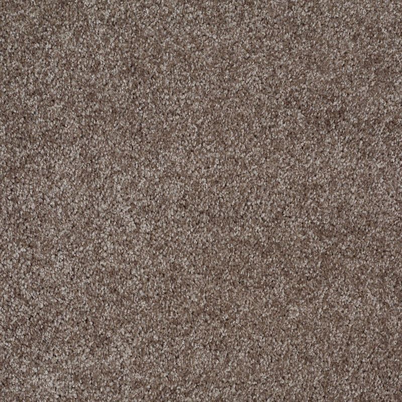 Shaw Floors Value Collections Parlay Net Dockside