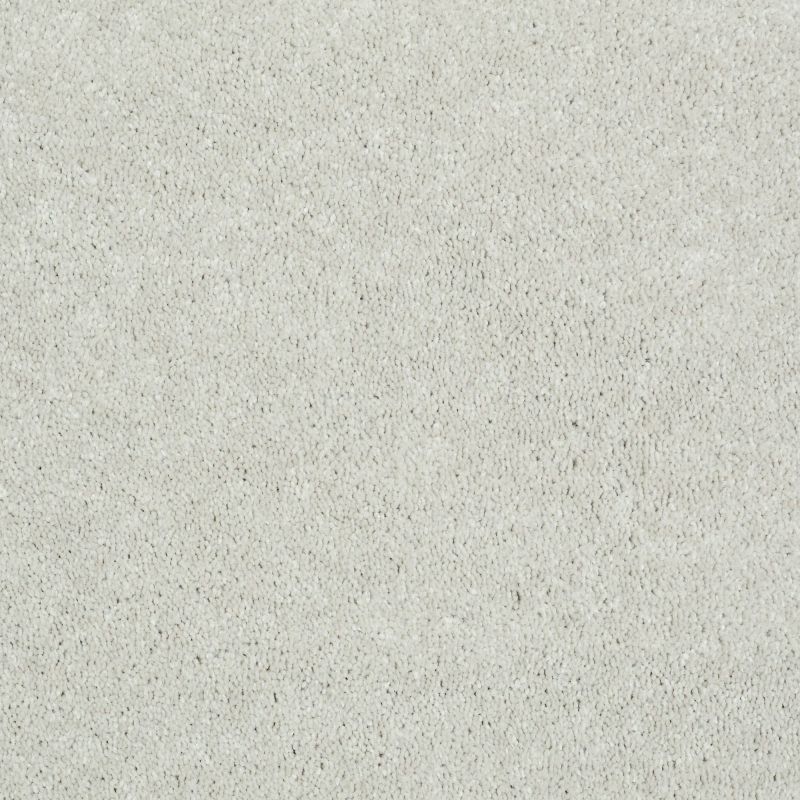 Shaw Floors Value Collections Well Played I 12 Net Ecru