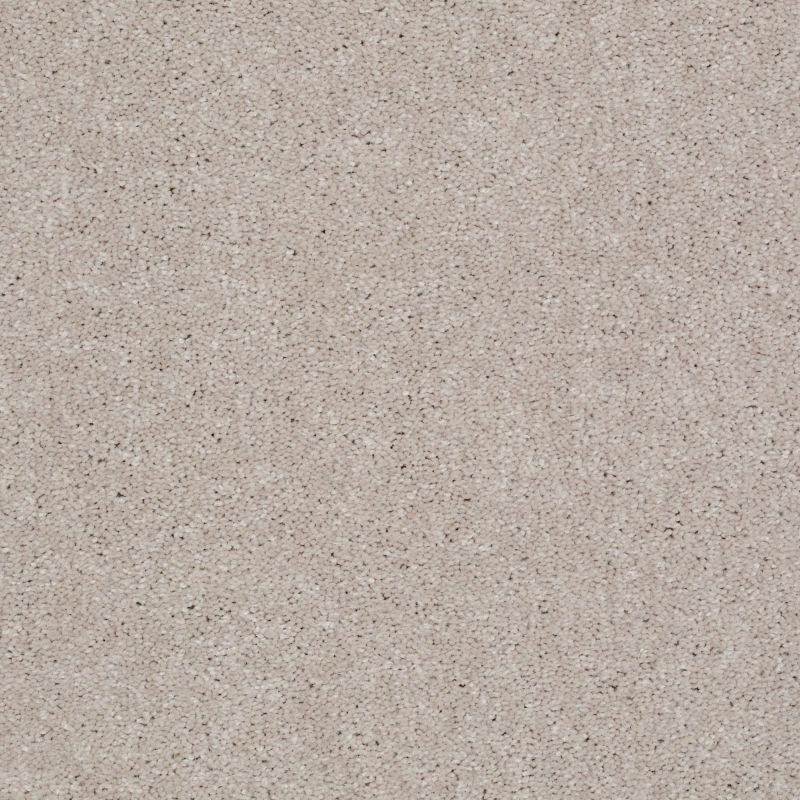 Shaw Floors Value Collections Well Played I 12 Net Almond Bark
