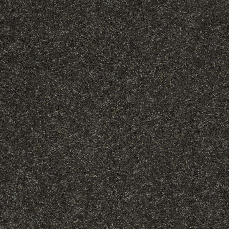 Shaw Floors Value Collections Well Played I 12 Net Aspen