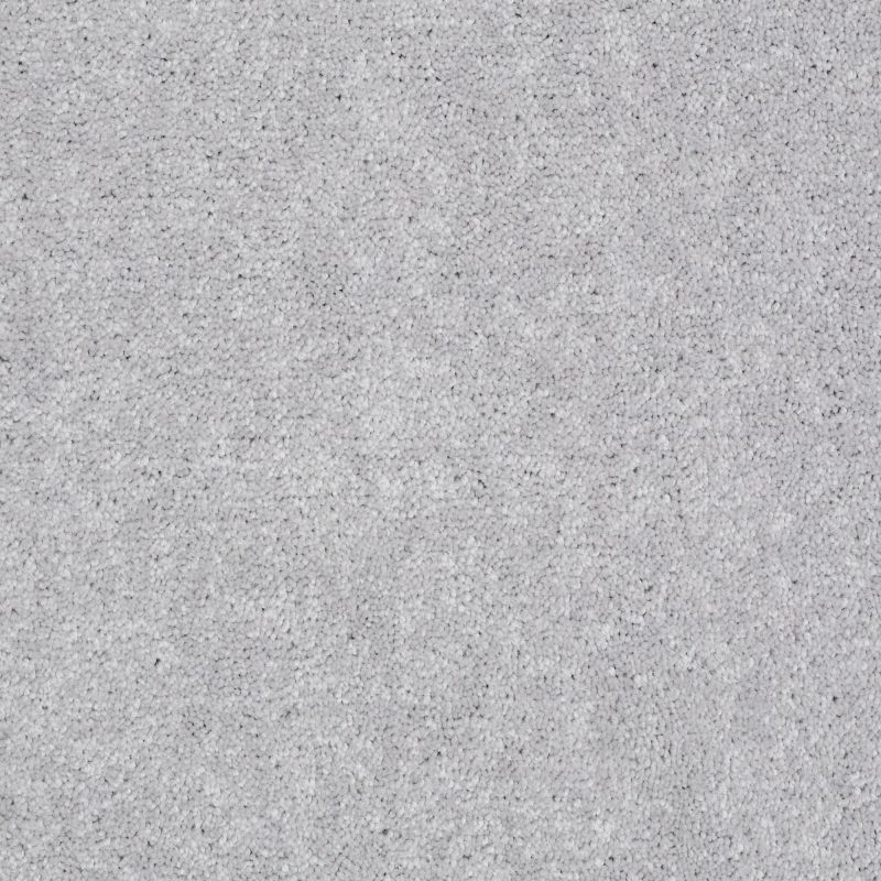 Shaw Floors Value Collections Well Played I 12 Net Dove Tail