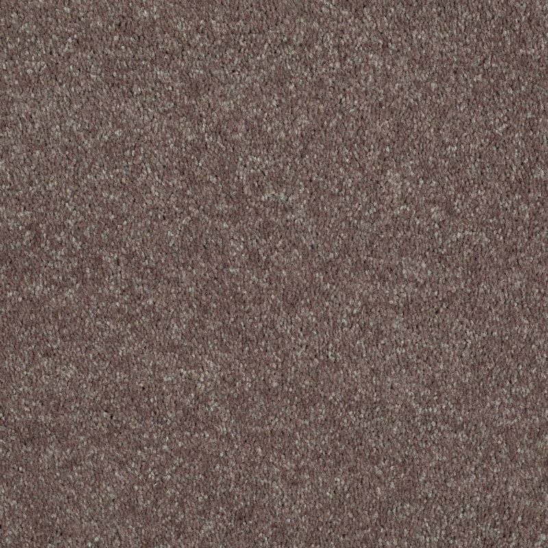 Shaw Floors Value Collections Well Played I 12 Net Briar Patch