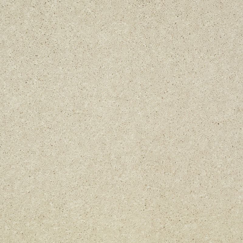 Shaw Floors Value Collections Well Played II 12' Net Fresco