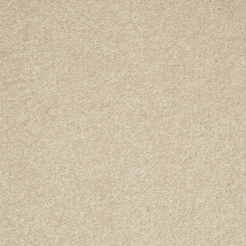 Shaw Floors Value Collections Well Played II 12' Net Agate