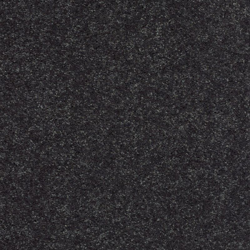 Shaw Floors Value Collections Well Played II 12' Net Denim Days