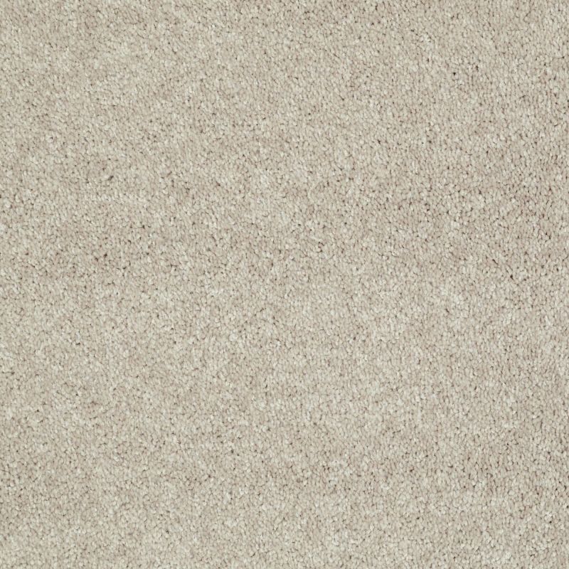 Shaw Floors Value Collections Well Played I 15' Net Natural Beige