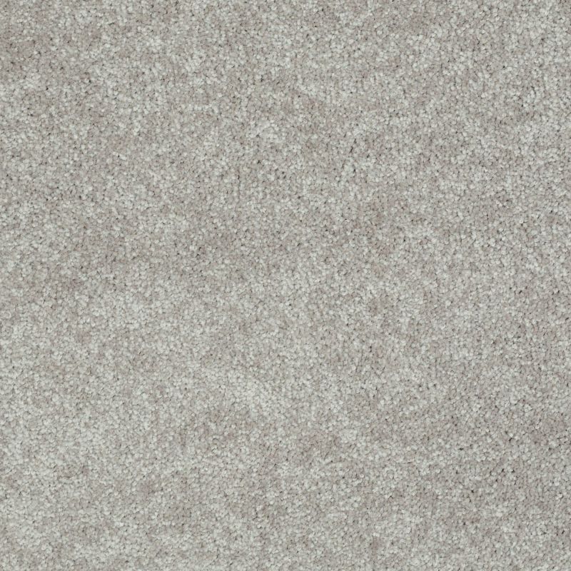 Shaw Floors Value Collections Well Played I 15' Net Mocha Frost