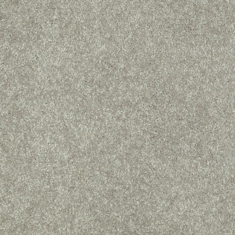Shaw Floors Value Collections Well Played II 15' Net Wild Rice