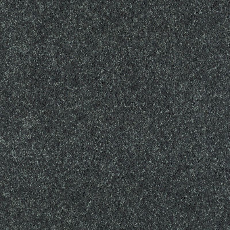 Shaw Floors Value Collections Well Played II 15' Net Aspen